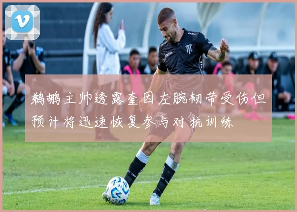 鹈鹕主帅透露奎因左腕韧带受伤但预计将迅速恢复参与对抗训练