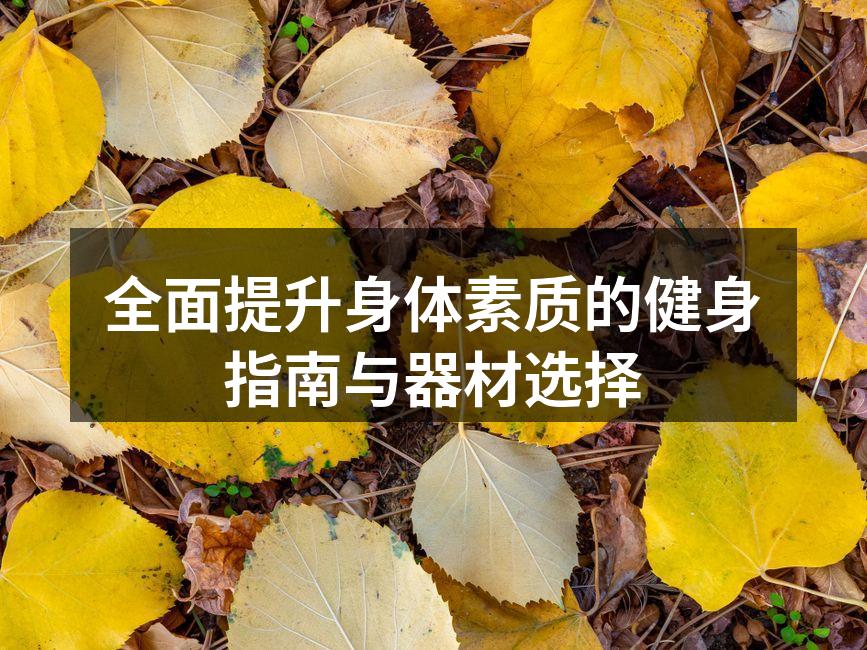 力量训练器材展示