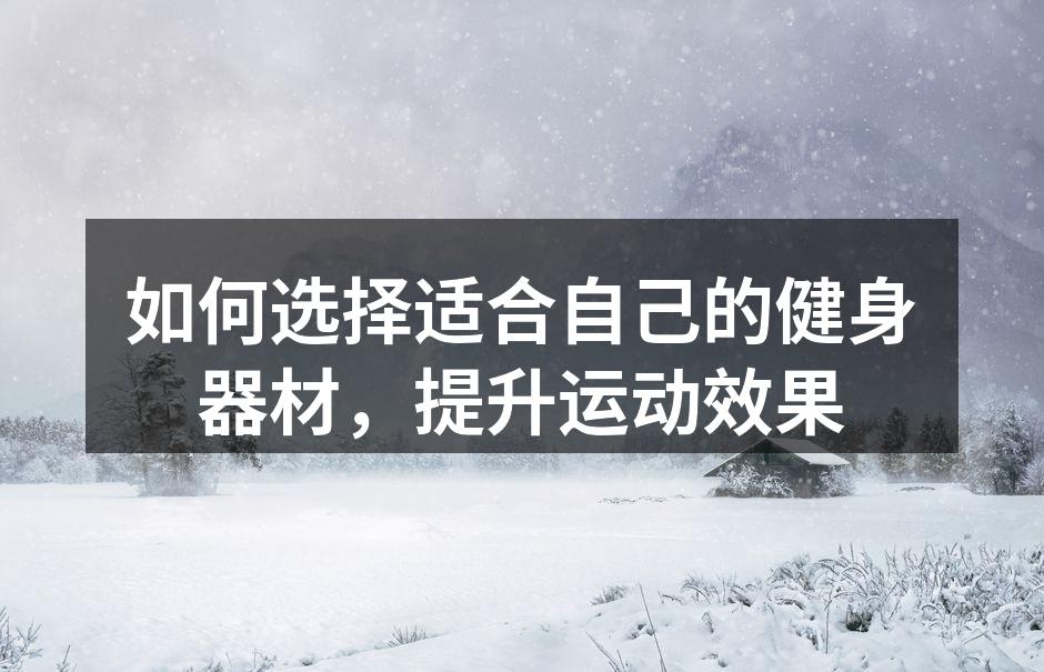 多种健身器材助力训练