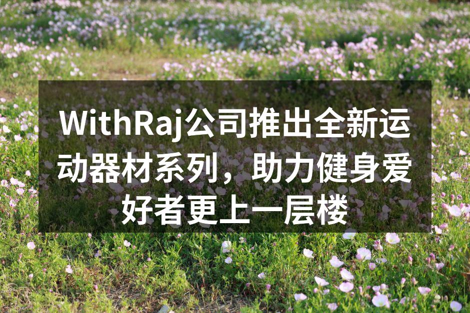 全新多功能健身器械,助力高效训练