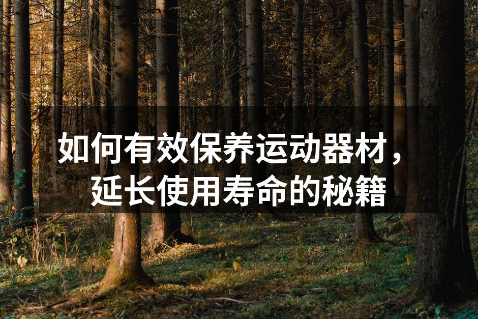 定期清理跑步机,保持良好状态