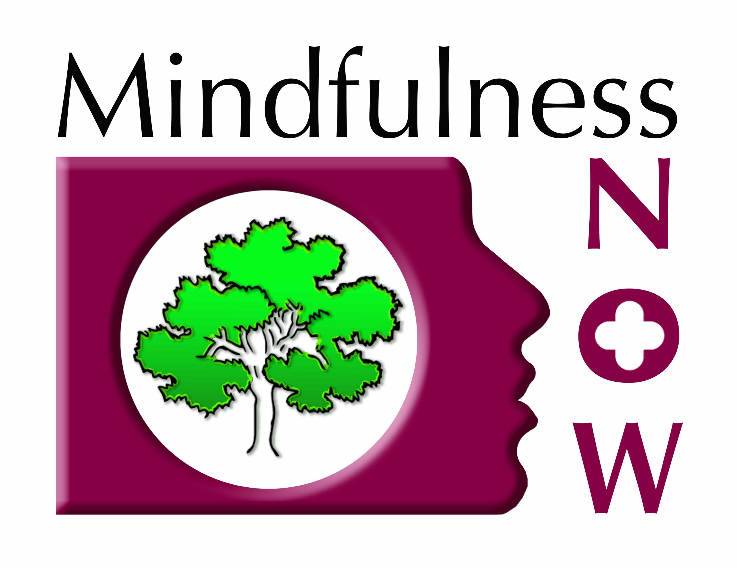 Mindfulness NOW Logo (2)